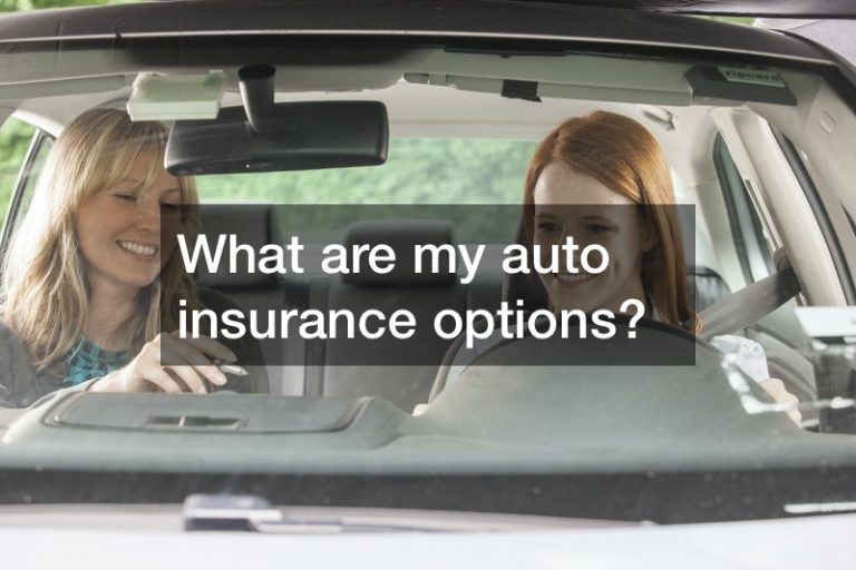 Looking at Your Auto Insurance Options - Ceve Marketing